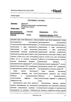 29877-Сертификат Энгистол, таблетки подъязычные 50 шт-12