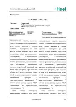 29877-Сертификат Энгистол, таблетки подъязычные 50 шт-18