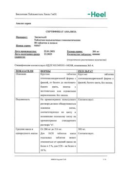 29877-Сертификат Энгистол, таблетки подъязычные 50 шт-14