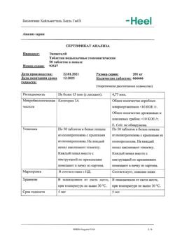 29877-Сертификат Энгистол, таблетки подъязычные 50 шт-15