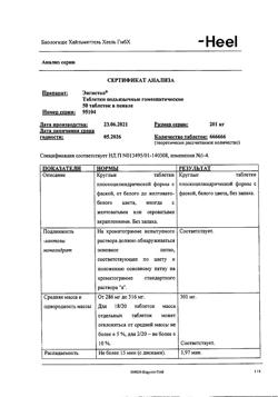 29877-Сертификат Энгистол, таблетки подъязычные 50 шт-7
