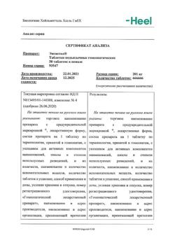 29877-Сертификат Энгистол, таблетки подъязычные 50 шт-16