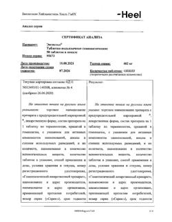 29877-Сертификат Энгистол, таблетки подъязычные 50 шт-3