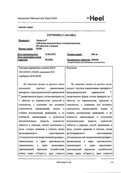29877-Сертификат Энгистол, таблетки подъязычные 50 шт-9