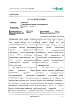 29877-Сертификат Энгистол, таблетки подъязычные 50 шт-17