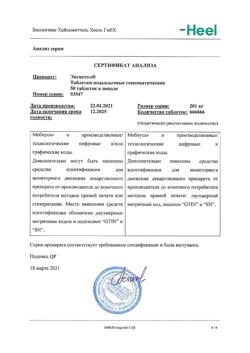 29877-Сертификат Энгистол, таблетки подъязычные 50 шт-19