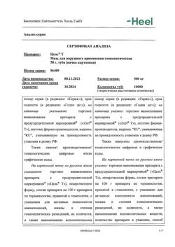 30004-Сертификат Цель Т, мазь для наружного применения гомеопатическая 50 г 1 шт-10