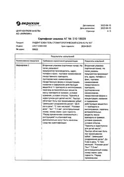 32465-Сертификат Лидент Бэби, гель стоматологический 0.33%+ 0.1% 10 г 1 шт-2