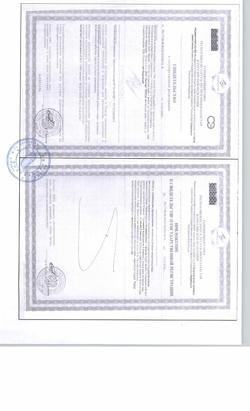 7917-Сертификат Чай Эвалар Био при диабете, фильтрпакетики 2 г  20 шт.-1