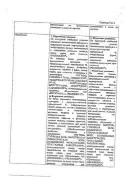 868-Сертификат Мигрениум, таблетки покрыт.плен.об. 65 мг+500 мг  20 шт-11