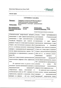 9877-Сертификат Эуфорбиум композитум Назентропфен С, спрей назальный 20 мл 1 шт-2