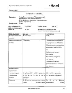 9877-Сертификат Эуфорбиум композитум Назентропфен С, спрей назальный 20 мл 1 шт-19