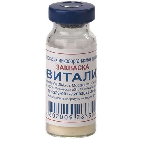 ЭВИТАЛИЯ ЗАКВАСКА ПОРОШОК ДЛЯ ПРИГОТОВЛЕНИЯ РАСТВОРА ДЛЯ ПРИЕМА ВНУТРЬ 300 МГ   №10