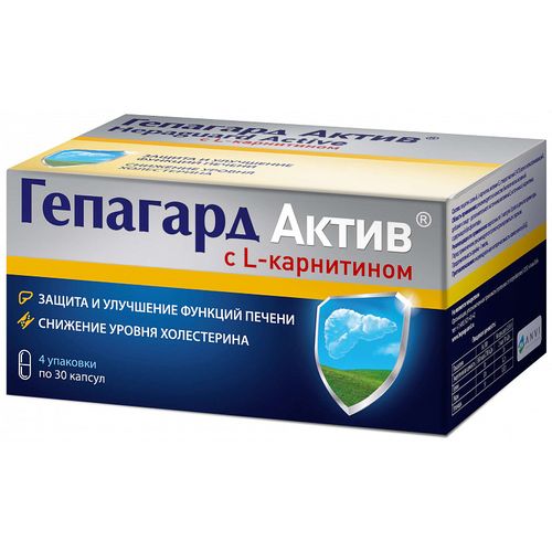 ГЕПАГАРД АКТИВ КАПСУЛЫ 360 МГ №120