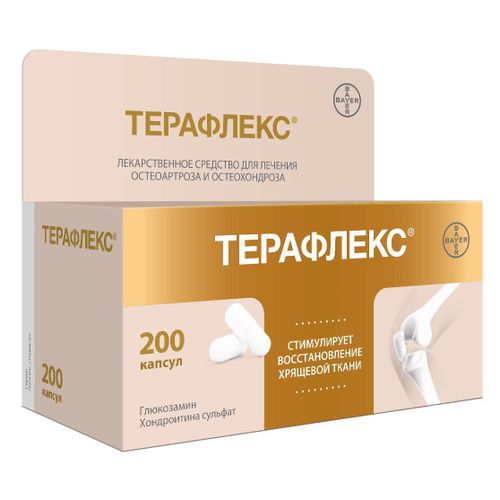 ТЕРАФЛЕКС КАПСУЛЫ 500МГ+400МГ   №200