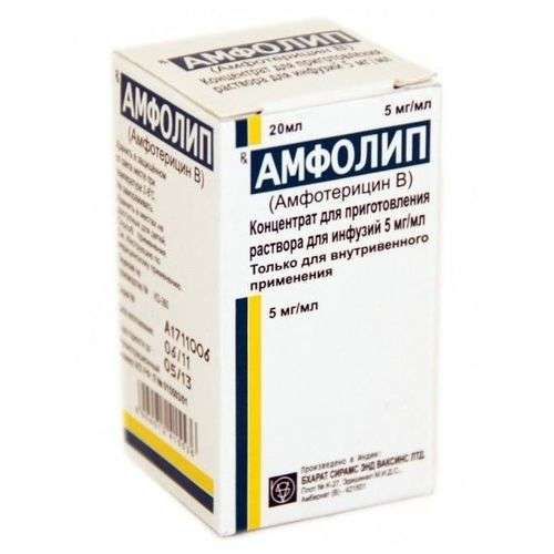 АМФОЛИП КОНЦЕНТРАТ ДЛЯ ПРИГОТОВЛЕНИЯ РАСТВОРА ДЛЯ ИНФУЗИЙ 5 МГ/МЛ 10 МЛ №1