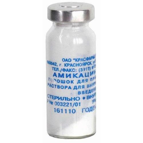 АМИКАЦИН ПОРОШОК ДЛЯ ПРИГОТОВЛЕНИЯ РАСТВОРА ДЛЯ ВНУТРИВЕННОГО И ВНУТРИМЫШЕЧНОГО ВВЕДЕНИЯ 500 МГ   №1