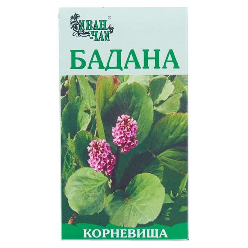 БАДАНА КОРНЕВИЩА СЫРЬЕ РАСТИТЕЛЬНОЕ ИЗМЕЛЬЧЕННОЕ  50 Г №1