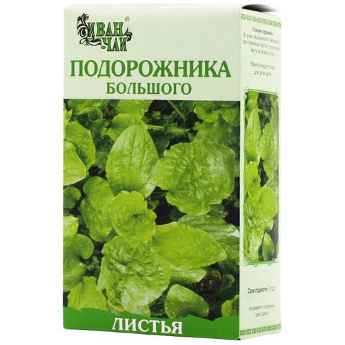 ПОДОРОЖНИКА БОЛЬШОГО ЛИСТЬЯ СЫРЬЕ РАСТИТЕЛЬНОЕ ИЗМЕЛЬЧЕННОЕ  50 Г №1
