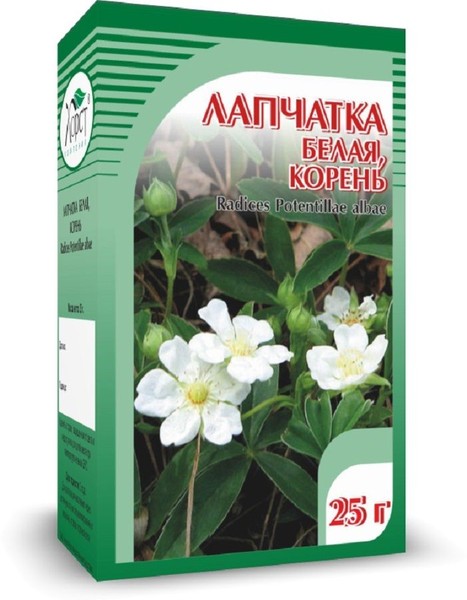 ЛАПЧАТКА БЕЛАЯ ФИТОЧАЙ  25 Г №1