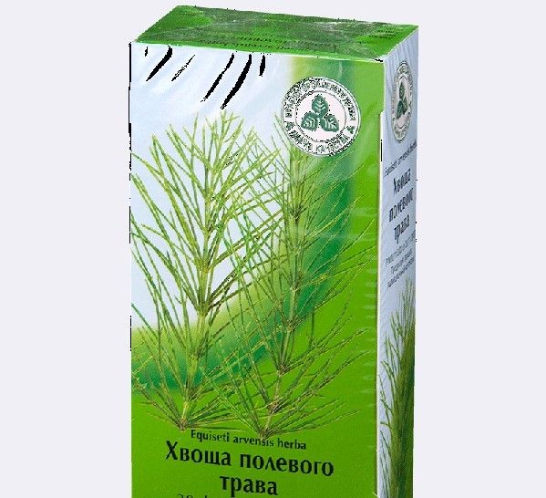 ХВОЩА ПОЛЕВОГО ТРАВА СЫРЬЕ РАСТИТЕЛЬНОЕ-ПОРОШОК 1,5 Г №24