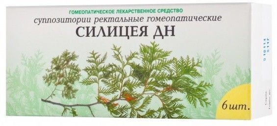 СИЛИЦЕЯ-ПЛЮС ДН СУППОЗИТОРИИ РЕКТАЛЬНЫЕ ГОМЕОПАТИЧЕСКИЕ    №6