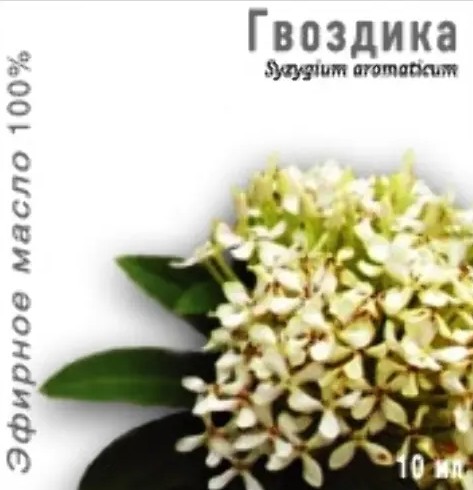 МЕДИКОМЕД ЭФИРНОЕ МАСЛО ГВОЗДИКИ ЭФИРНОЕ МАСЛО  10 МЛ №1