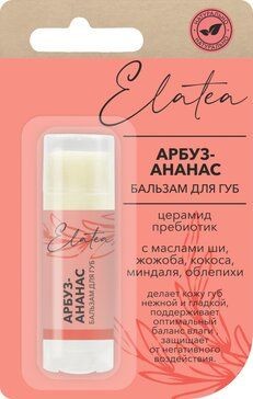 ELATEA БАЛЬЗАМ Д/ГУБ АРБУЗ/АНАНАС БАЛЬЗАМ ДЛЯ ГУБ  4,8 Г №1