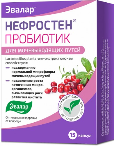 НЕФРОСТЕН ПРОБИОТИК КАПСУЛЫ  0,47 Г №15