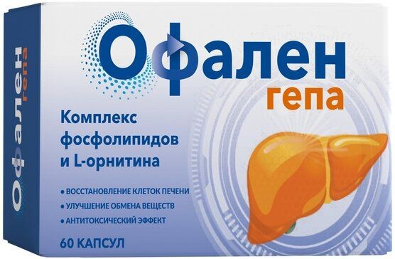 ОФАЛЕН ГЕПА КАПСУЛЫ  495 МГ №60