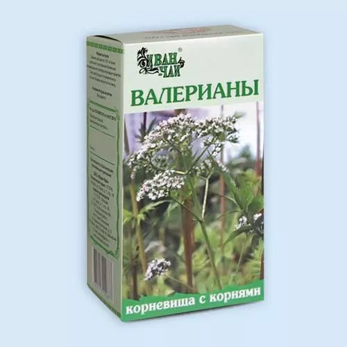 ВАЛЕРИАНЫ КОРНЕВИЩА С КОРНЯМИ