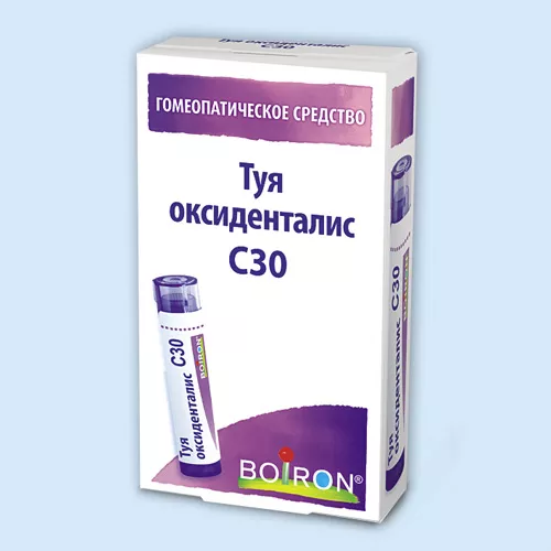 ТУЯ ОКСИДЕНТАЛИС C30 ГРАНУЛЫ ГОМЕОПАТИЧЕСКИЕ 4 Г №1